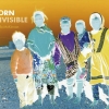 Born  Invisibile